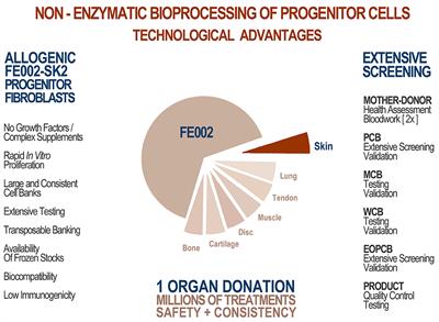 Bringing Safe and Standardized Cell Therapies to Industrialized Processing for Burns and Wounds